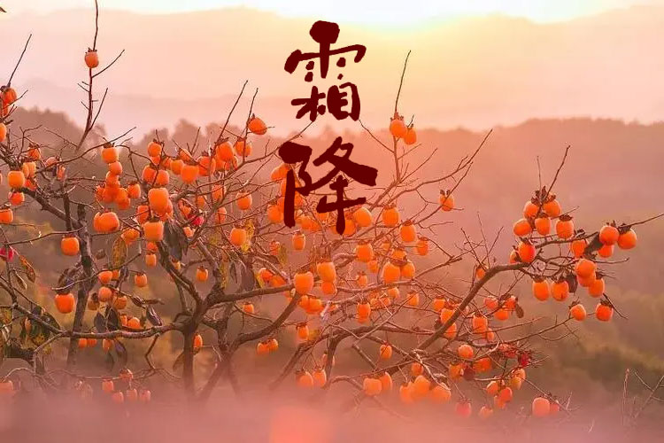 D(zhun)g˪һůƶﶬ