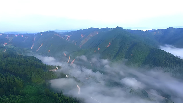 錦屏人工造林習(xí)俗